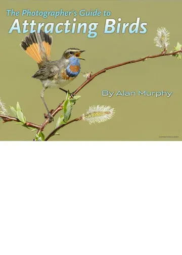 Alan Murphy Photographers Guide Attracting Birds ebook 186 p.